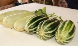 免费网红吃瓜,揭秘娱乐圈幕后真相